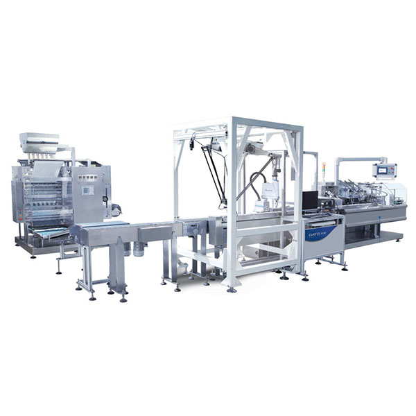 DTKL-100F全自动四边封袋装盒自动生产线