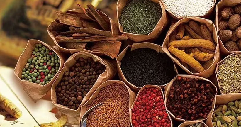 瑞安市永历制药机械有限公司